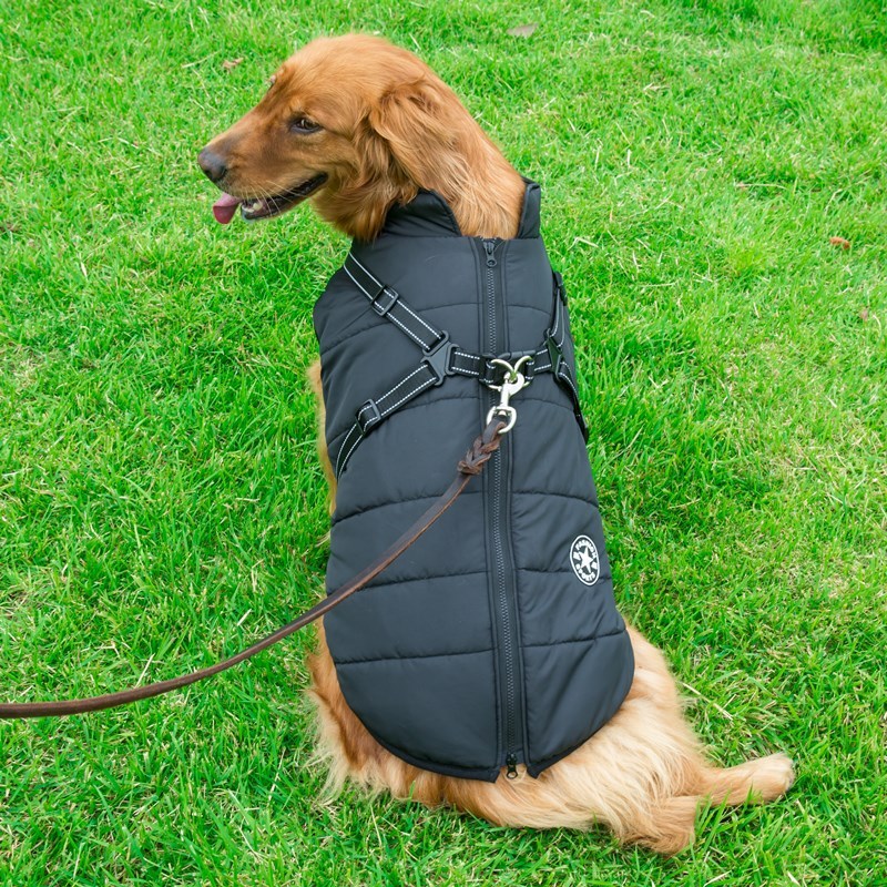Dog Clothes Chest Back Integrated Cotton Vest Pet Cotton Clothes Winter Clothes - X2-Shopping