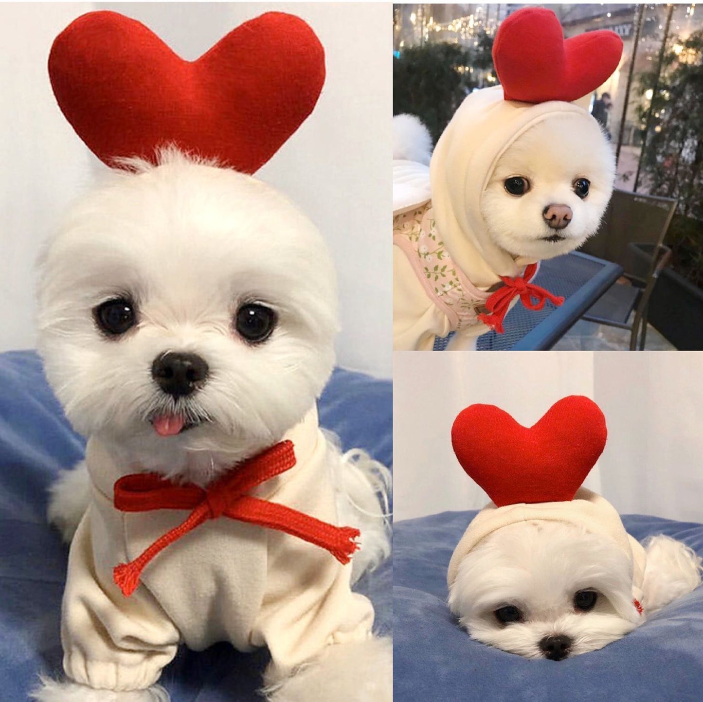 Cute Fruit Dog Clothes For Small Dogs Hoodies Winter Warm Fleece Pet Clothing Puppy Cat Costume Coat For French Chihuahua Outfit - X2-Shopping