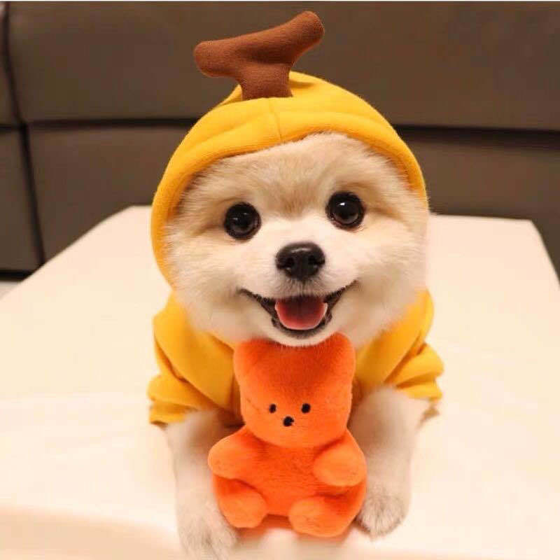 Cute Fruit Dog Clothes For Small Dogs Hoodies Winter Warm Fleece Pet Clothing Puppy Cat Costume Coat For French Chihuahua Outfit - X2-Shopping