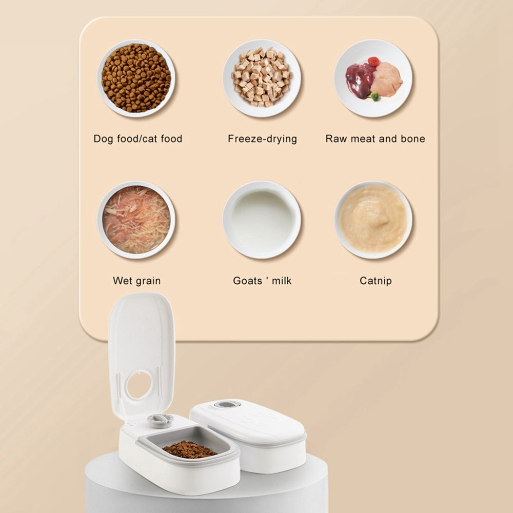 Automatic Pet Feeder Smart Food Dispenser For Cats Dogs Timer Stainless Steel Bowl Auto Dog Cat Pet Feeding Pets Supplies - X2-Shopping