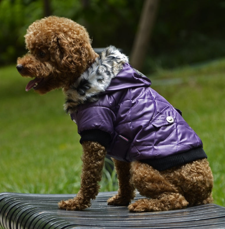 Cross-border pet supplies pet clothes dog clothes autumn and winter fur collar coat pet dog clothing - X2-Shopping