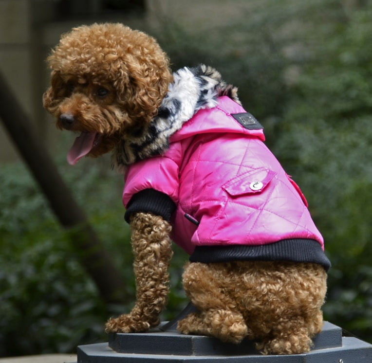 Cross-border pet supplies pet clothes dog clothes autumn and winter fur collar coat pet dog clothing - X2-Shopping