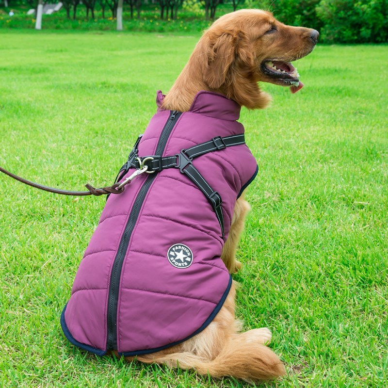Dog Clothes Chest Back Integrated Cotton Vest Pet Cotton Clothes Winter Clothes - X2-Shopping