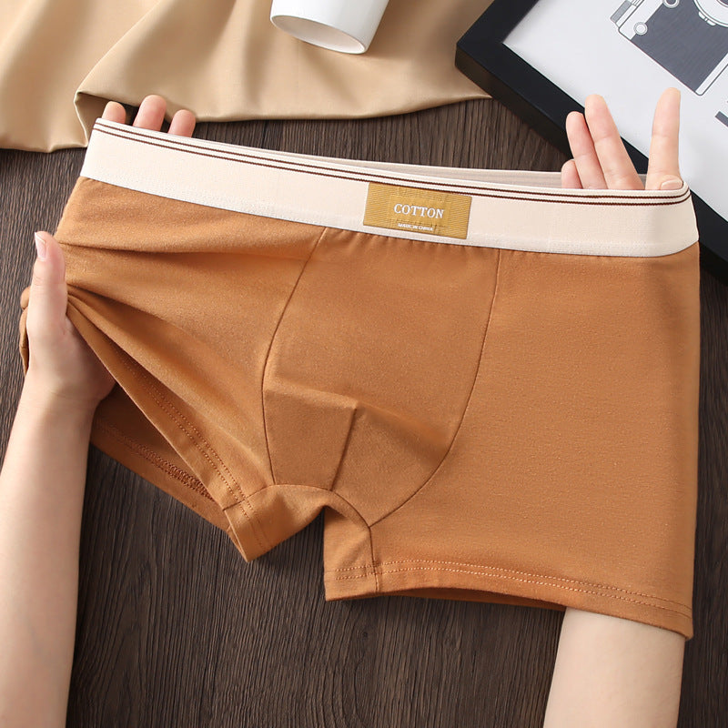 Antibakterielle Herren-Boxershorts aus Baumwolle, atmungsaktiv