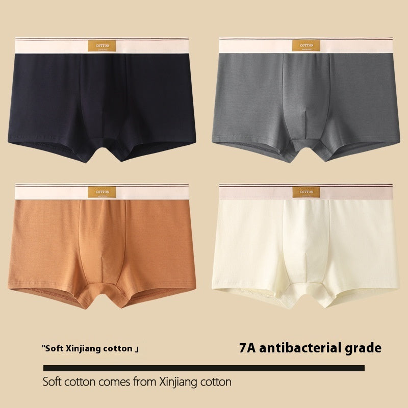 Antibakterielle Herren-Boxershorts aus Baumwolle, atmungsaktiv