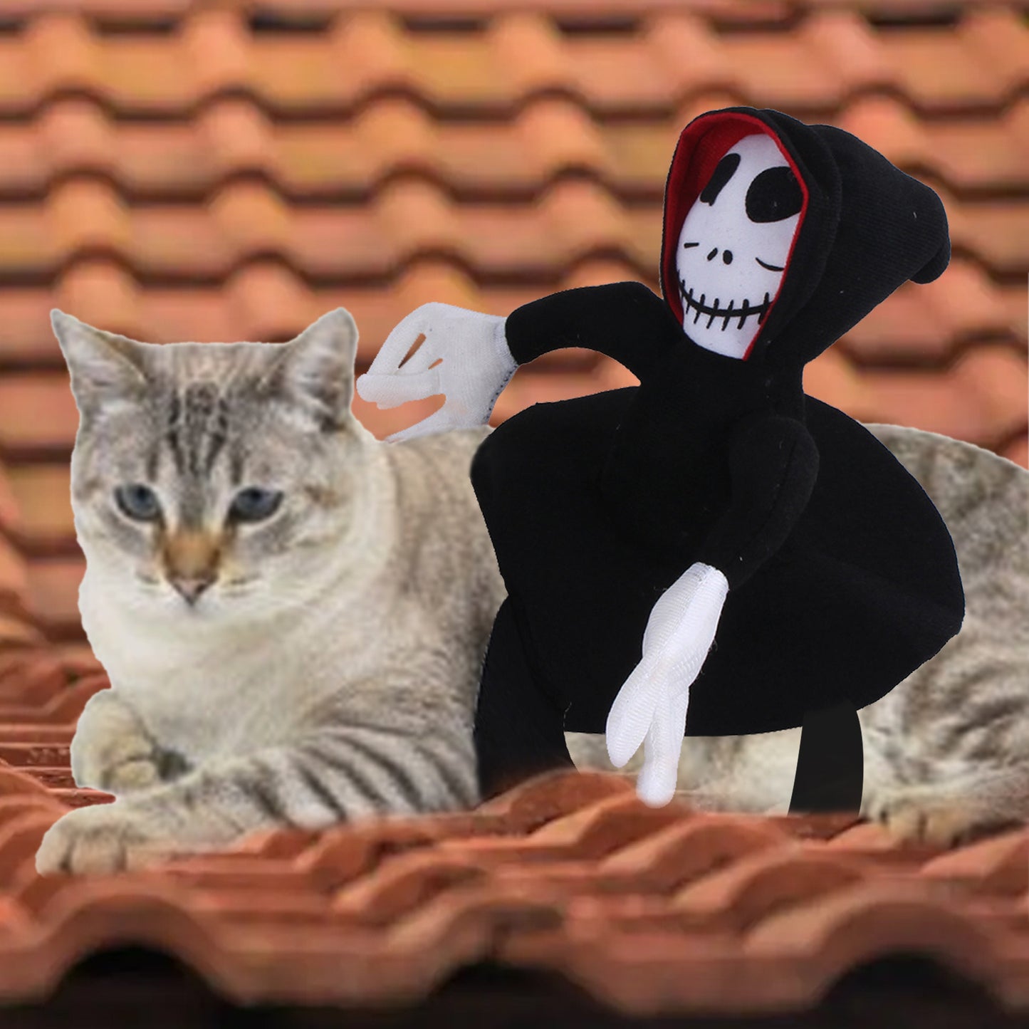 NEW Funny Pet Halloween Costume Halloween Pet Decoration Dress Up Pet Cosplay Costume Halloween Pet Clothes Spider Pumpkin Vest - X2-Shopping