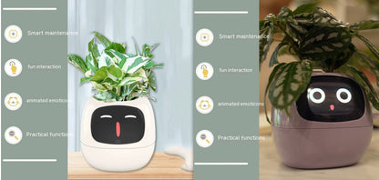 Smart Planter – Endloser Spaß – Über 49 ausdrucksstarke Ausdrücke – 7 intelligente Sensoren und KI-Chips machen das Pflanzenaufziehen einfach und unterhaltsam