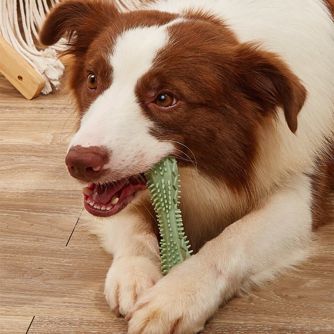 Chew Toys For Dog Teeth Cleaning - X2-Shopping