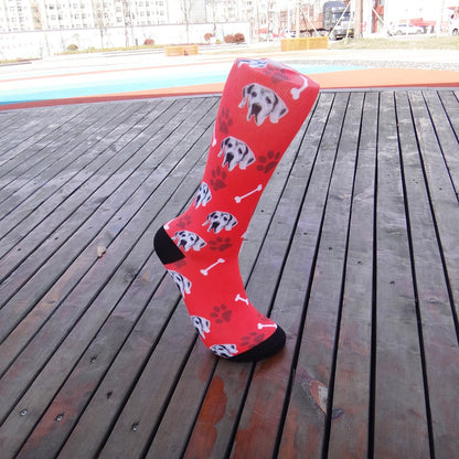 Cartoon Pet Head Face Socks - X2-Shopping