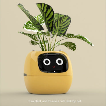 Smart Planter – Endloser Spaß – Über 49 ausdrucksstarke Ausdrücke – 7 intelligente Sensoren und KI-Chips machen das Pflanzenaufziehen einfach und unterhaltsam