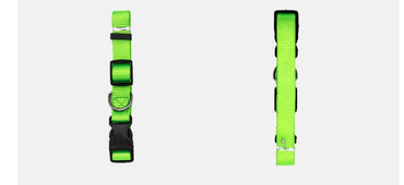 New Pet Collar - X2-Shopping