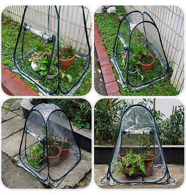 Frostschutzgewächshaus für Gartenpflanzen und Blumen im Freien