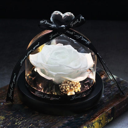 Getrocknete Blumen für Zuhause, Valentinstag, Weihnachten, Hochzeitsgeschenke, getrocknete Blumen, ewige echte Rose, Heimdekoration mit LED im Glas