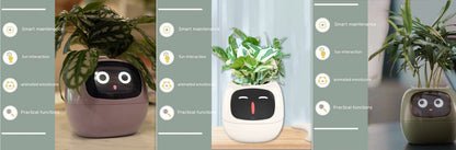Smart Planter – Endloser Spaß – Über 49 ausdrucksstarke Ausdrücke – 7 intelligente Sensoren und KI-Chips machen das Pflanzenaufziehen einfach und unterhaltsam
