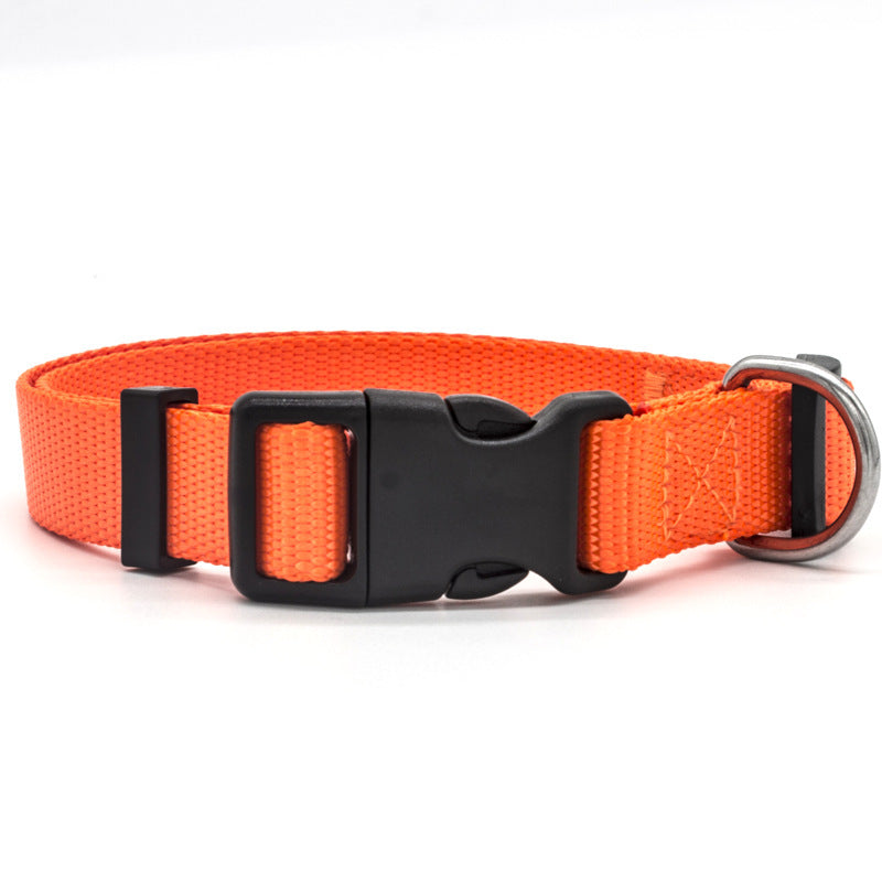New Pet Collar - X2-Shopping