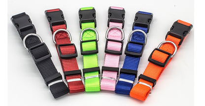 New Pet Collar - X2-Shopping