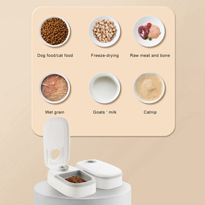 Automatic Pet Feeder Smart Food Dispenser For Cats Dogs Timer Stainless Steel Bowl Auto Dog Cat Pet Feeding Pets Supplies - X2-Shopping