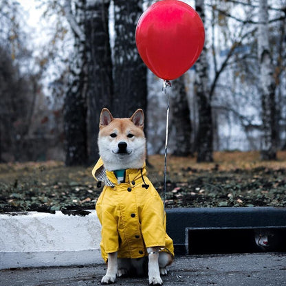 Dog Raincoat Pet Clothes Dog Clothes Rain Water - X2-Shopping