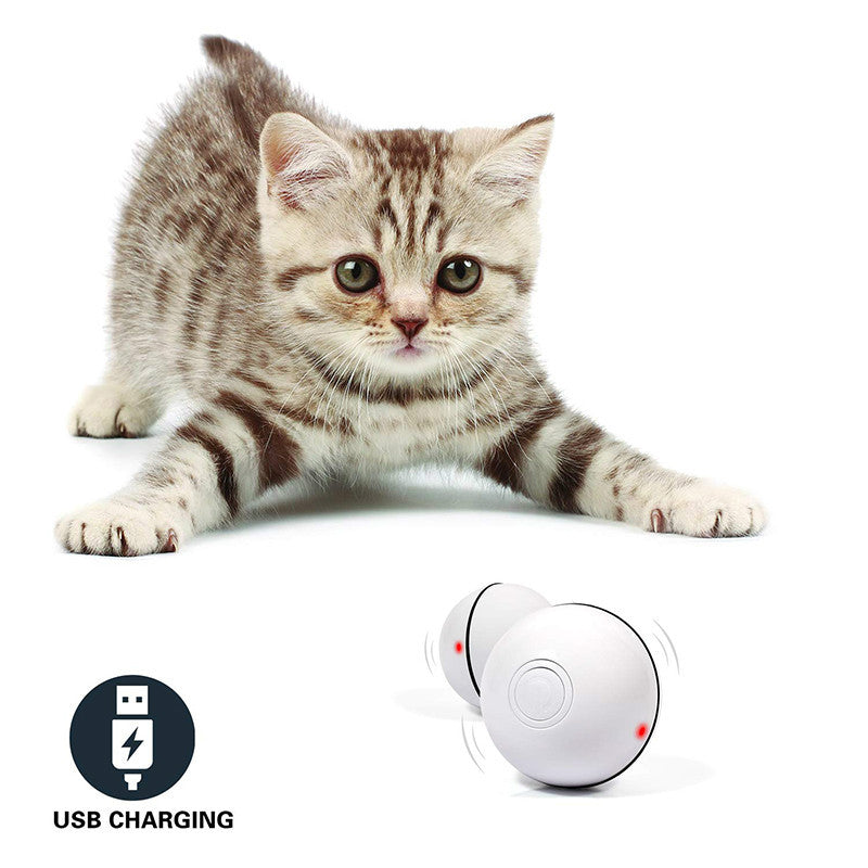 LED Laser Electronic Rolling Pet Funny Cat Toy Ball - X2-Shopping
