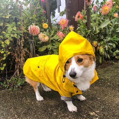 Dog Raincoat Pet Clothes Dog Clothes Rain Water - X2-Shopping