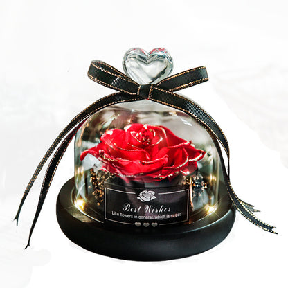 Getrocknete Blumen für Zuhause, Valentinstag, Weihnachten, Hochzeitsgeschenke, getrocknete Blumen, ewige echte Rose, Heimdekoration mit LED im Glas