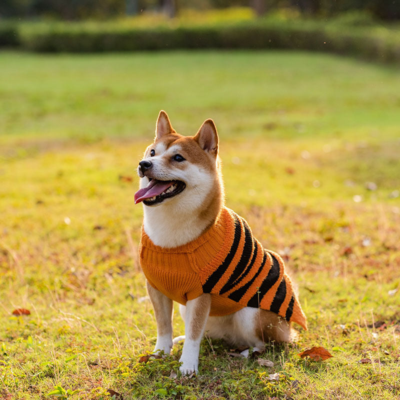 Halloween Dog Sweaters Pet Costume Teddy Warm Leisure Sweater Cosplay Clothes For Dogs Pets Outfits - X2-Shopping