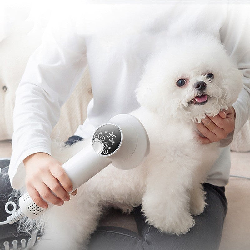 Smart Pet Hair Dryer Dog Golden Retriever Cat Grooming Hairdressing Blow & Comb Silent No Harm Pet Cleaning Supplies Pet Products - X2-Shopping