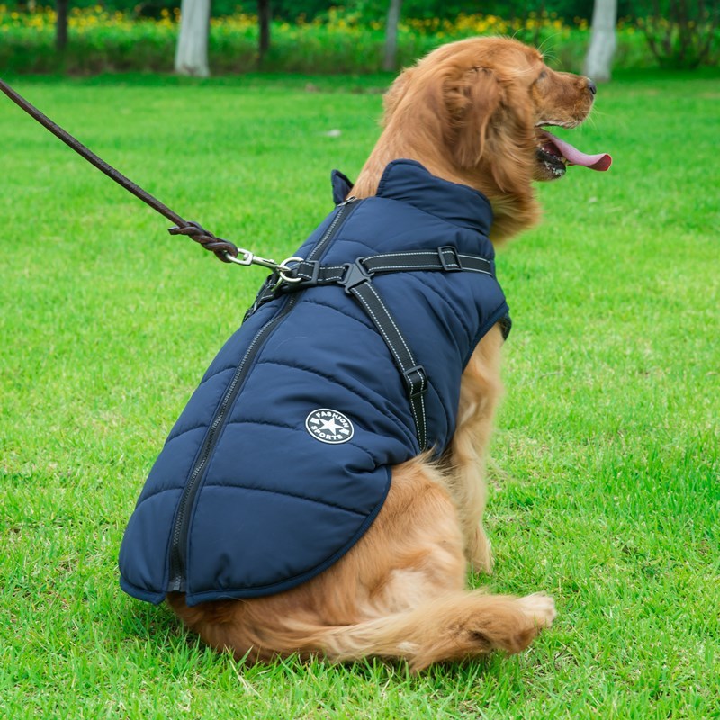 Dog Clothes Chest Back Integrated Cotton Vest Pet Cotton Clothes Winter Clothes - X2-Shopping