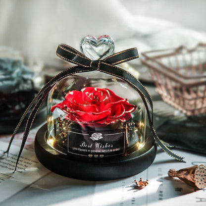 Getrocknete Blumen für Zuhause, Valentinstag, Weihnachten, Hochzeitsgeschenke, getrocknete Blumen, ewige echte Rose, Heimdekoration mit LED im Glas