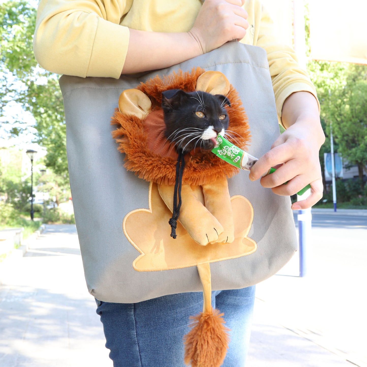 Soft Pet Carriers Lion Design Portable Breathable Bag Cat Dog Carrier Bags Outgoing Travel Pets Handbag With Safety Zippers - X2-Shopping