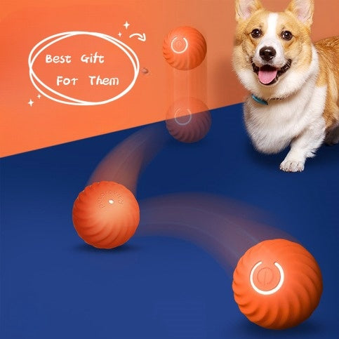 Pet Dog Rubber Ball Toys For Dogs Resistance To Bite Dog Chew Toys Puppy Pets Dogs Training Products - X2-Shopping