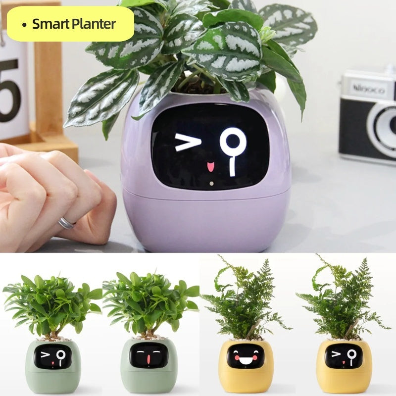 Smart Planter – Endloser Spaß – Über 49 ausdrucksstarke Ausdrücke – 7 intelligente Sensoren und KI-Chips machen das Pflanzenaufziehen einfach und unterhaltsam
