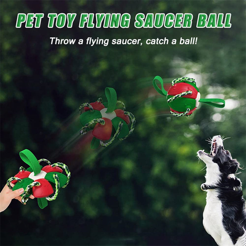 Interactive Dog Football Soccer Ball With Tabs Inflated Training Toy Outdoor Border Collie Balls Pet Products - X2-Shopping