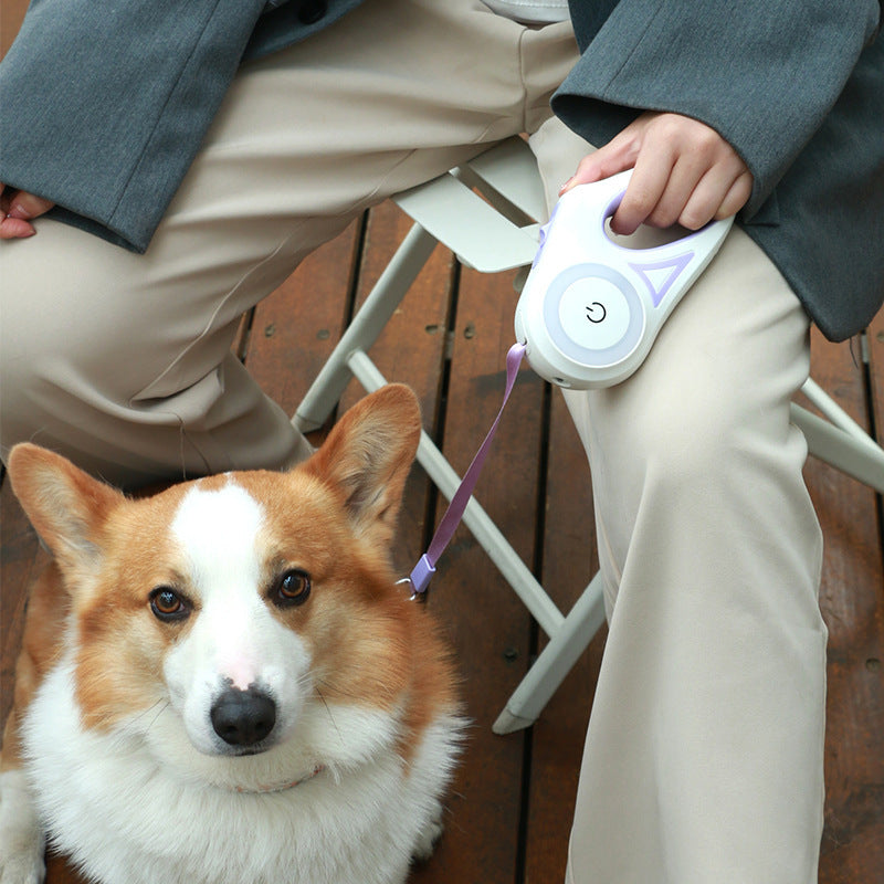Dog Leash Retractable Leash And Dog Collar Spotlight Automatic Pet Dog Cat Traction Rope For Small Medium Dogs Pet Product - X2-Shopping