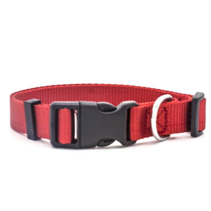 New Pet Collar - X2-Shopping