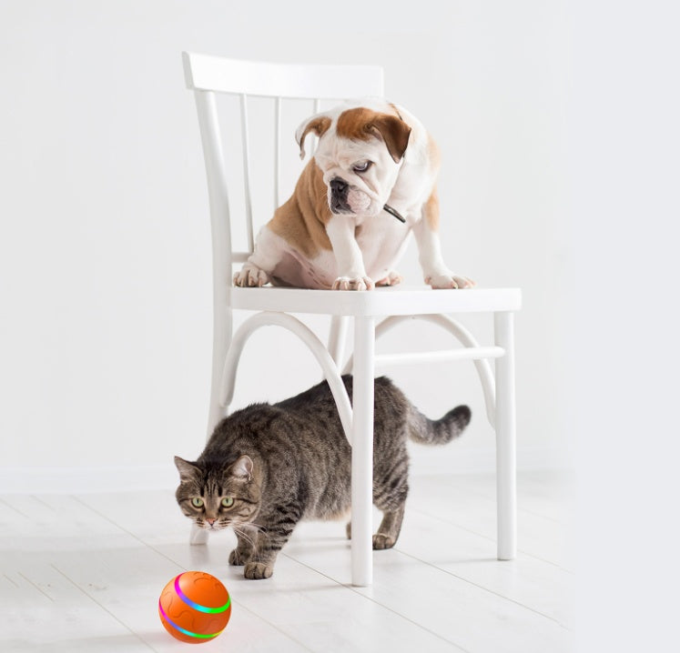 Pet New Cat Wicked Ball Toy Intelligent Ball USB Cat Toys Self Rotating Ball Automatic Rotation Ball - X2-Shopping