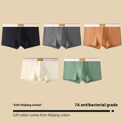 Antibakterielle Herren-Boxershorts aus Baumwolle, atmungsaktiv