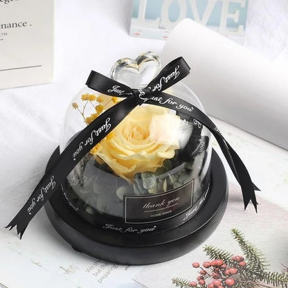 Getrocknete Blumen für Zuhause, Valentinstag, Weihnachten, Hochzeitsgeschenke, getrocknete Blumen, ewige echte Rose, Heimdekoration mit LED im Glas