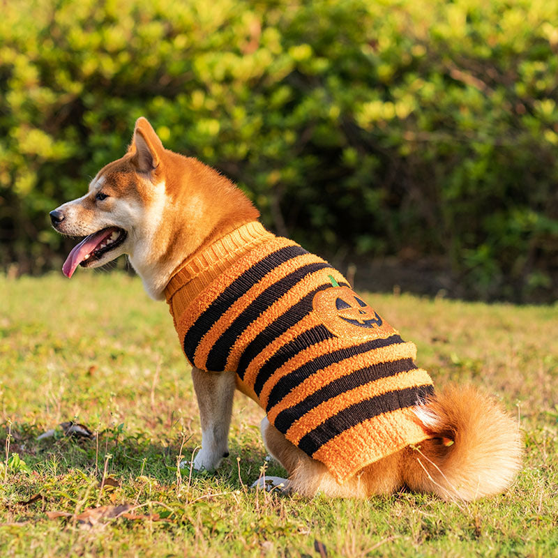 Halloween Dog Sweaters Pet Costume Teddy Warm Leisure Sweater Cosplay Clothes For Dogs Pets Outfits - X2-Shopping