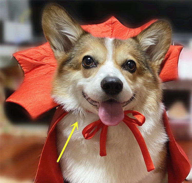 Halloween Pet Costumepet Halloween Cape Vampire King - X2-Shopping