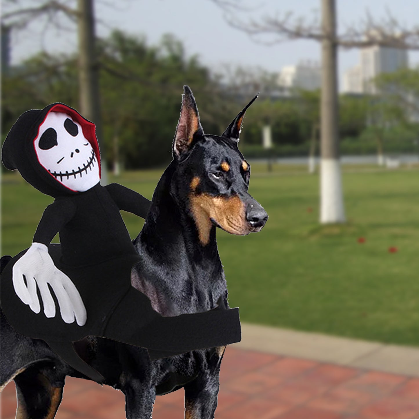 NEW Funny Pet Halloween Costume Halloween Pet Decoration Dress Up Pet Cosplay Costume Halloween Pet Clothes Spider Pumpkin Vest - X2-Shopping