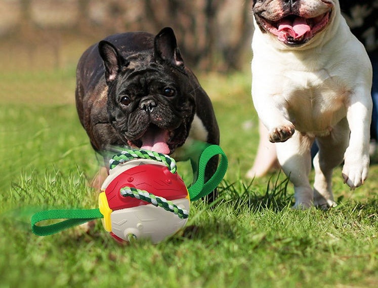Interactive Dog Football Soccer Ball With Tabs Inflated Training Toy Outdoor Border Collie Balls Pet Products - X2-Shopping