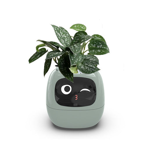 Smart Planter – Endloser Spaß – Über 49 ausdrucksstarke Ausdrücke – 7 intelligente Sensoren und KI-Chips machen das Pflanzenaufziehen einfach und unterhaltsam